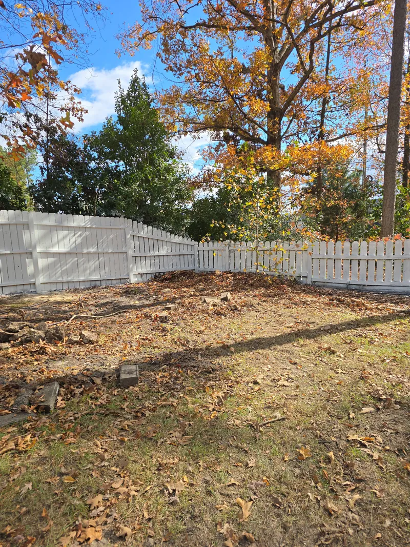 Fenced yard debris clearing