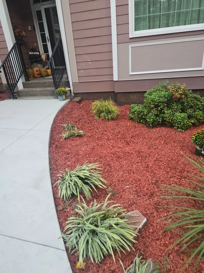 Finished walkway with landscaping