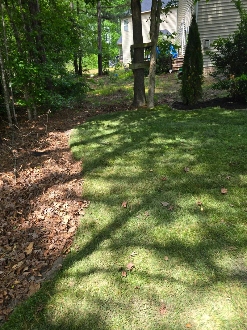 Lawn edging and mulch border