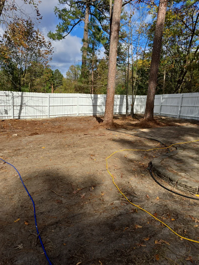 Backyard patio area