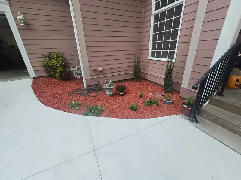 Walkway landscaping detail